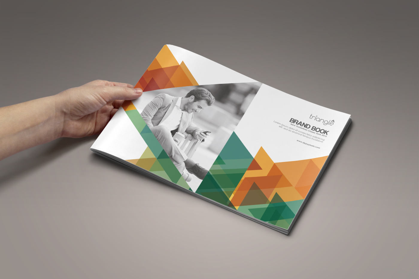 The Shapes-Brand Guidelines Template ~ Brochure Templates on Creative ...