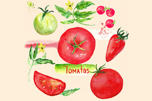 Tomatos. Watercolor Clip art. ~ Illustrations on Creative Market