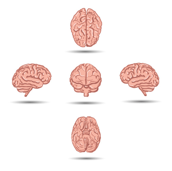 Set Of Five Cartoon Human Brains Set Of Five Cartoon Human Brains