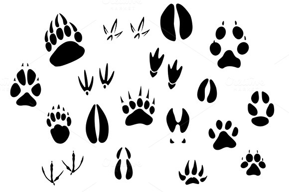 Animal Footprints Silhouettes Animal Footprints Silhouettes