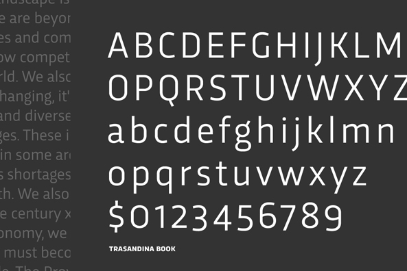 Trasandina ~ Sans Serif Fonts on Creative Market