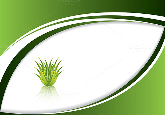 Aloe Vera Concept Design Aloe Vera Concept Design