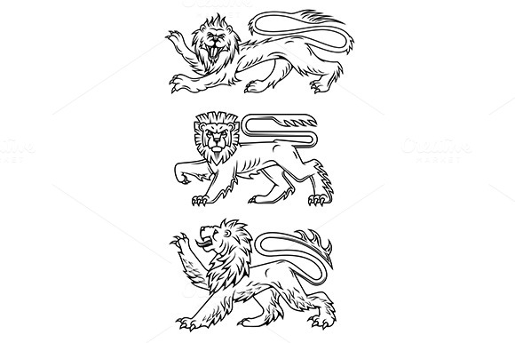 Powerful Lions And Predators Powerful Lions And Predators
