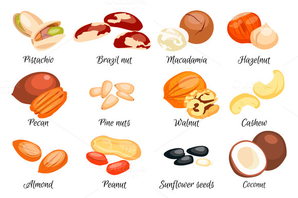 Nuts Set Nuts Set