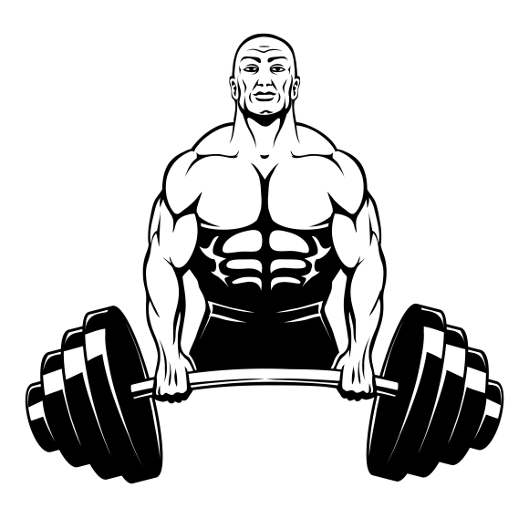 Download Vector muscle man bodybuilder ~ Graphics on Creative Market