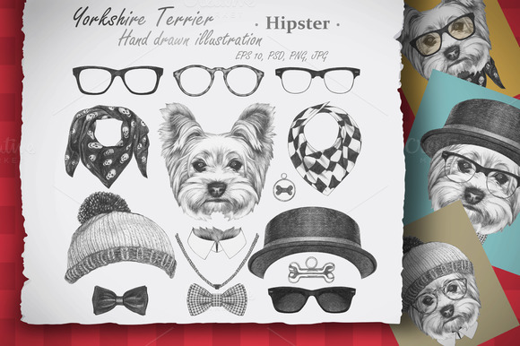 Yorkshire Terrier Hipster Yorkshire Terrier Hipster
