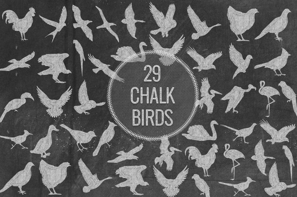 Chalk Birds Chalk Birds