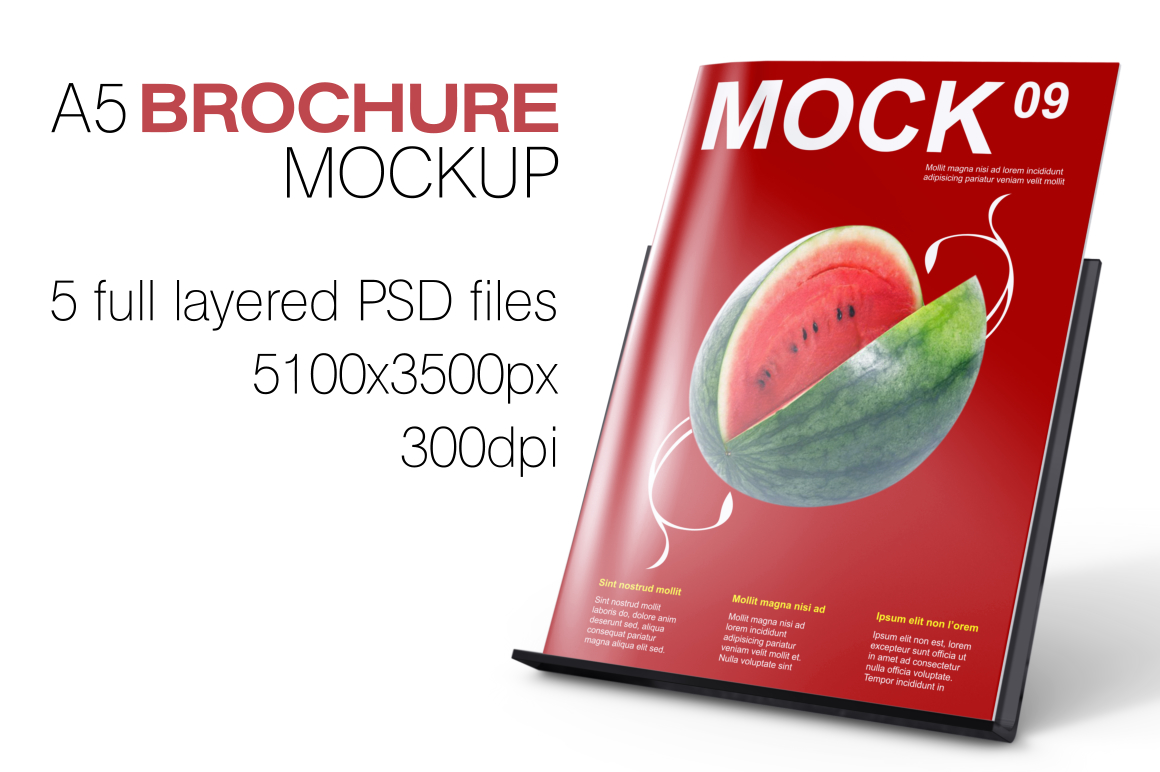 Download A5 Brochure Mockup ~ Product Mockups on Creative Market
