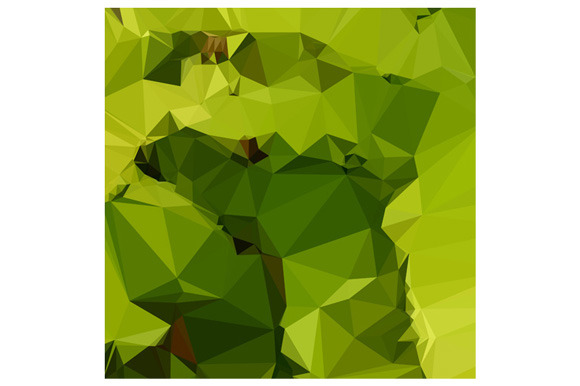 Avocado Green Abstract Low Polygon B Avocado Green Abstract Low Polygon B
