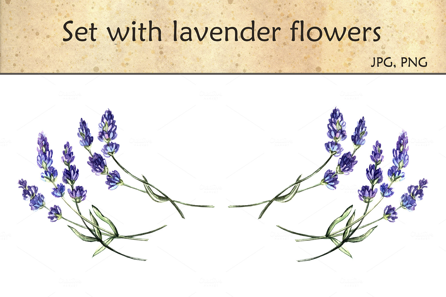 Set with lavender flowers ~ Illustrations on Creative Market