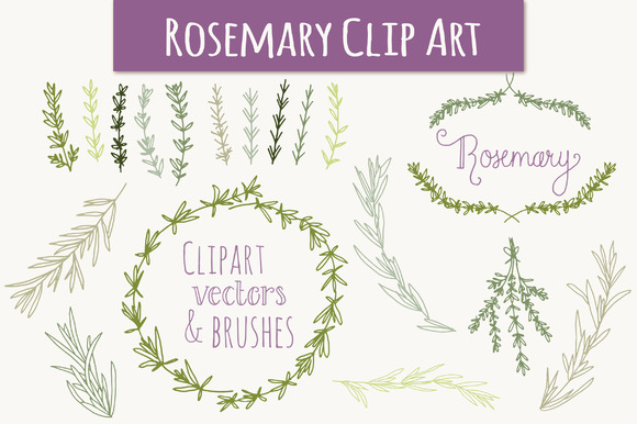 Rosemary Clip Art & Vectors ~ Graphics on Creative Market