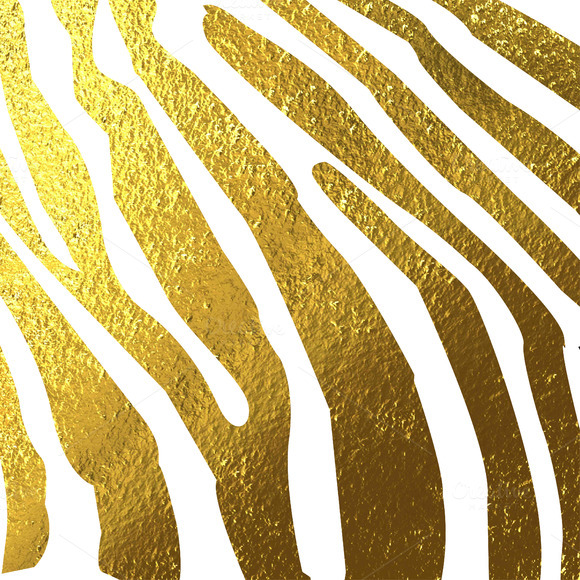 Texture Of Zebra Skin Gold