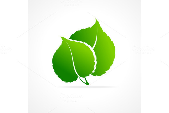 Ecology Concept Of Green Leaf Ecology Concept Of Green Leaf