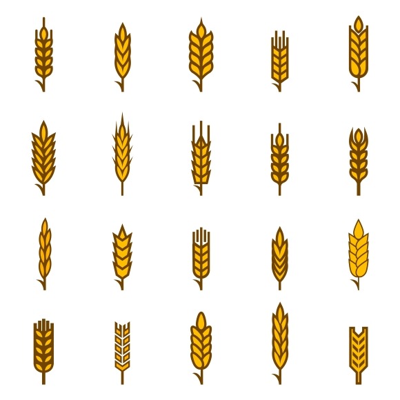 Ears Of Wheat Bread Symbols Ears Of Wheat Bread Symbols