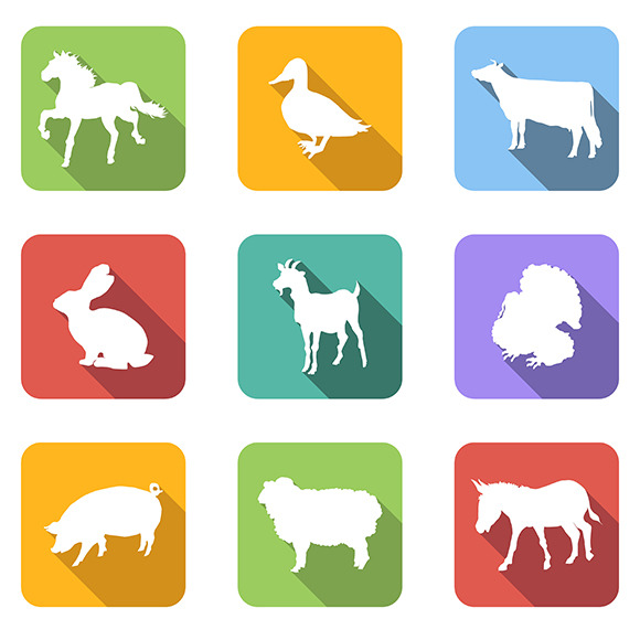 Happy Farm Animals » Designtube - Creative Design Content