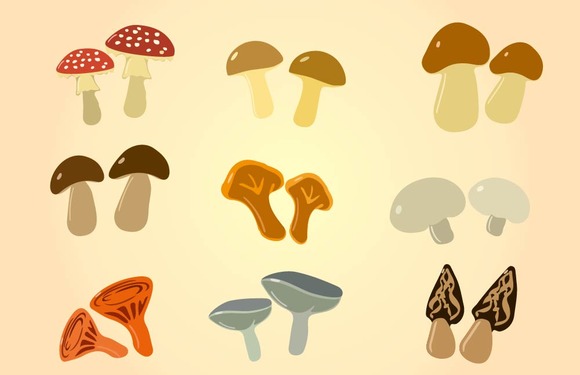 Cartoon Color Mushrooms
