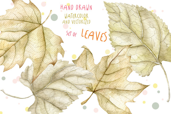 4 Watercolor Leaves Hand Drawn 4 Watercolor Leaves Hand Drawn