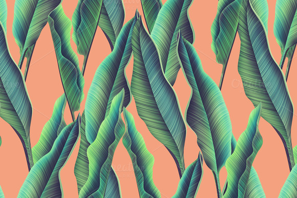Tropical Pattern Jungle Palm Leaves Tropical Pattern Jungle Palm Leaves