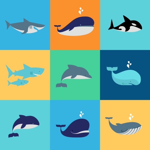 Vector Set Of Whale Dolphin Sharks Vector Set Of Whale Dolphin Sharks