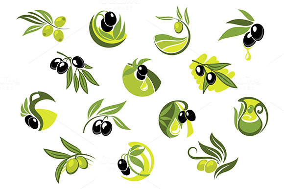Olive Branches With Glossy Olives Olive Branches With Glossy Olives