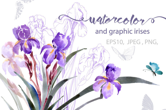 Watercolor And Graphic Irises Watercolor And Graphic Irises