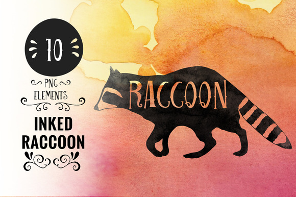 Inked Raccoon