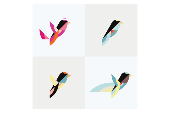 Birds Birds