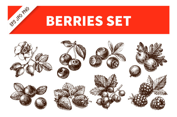 Hand Drawn Sketch Berries Vector Set Hand Drawn Sketch Berries Vector Set