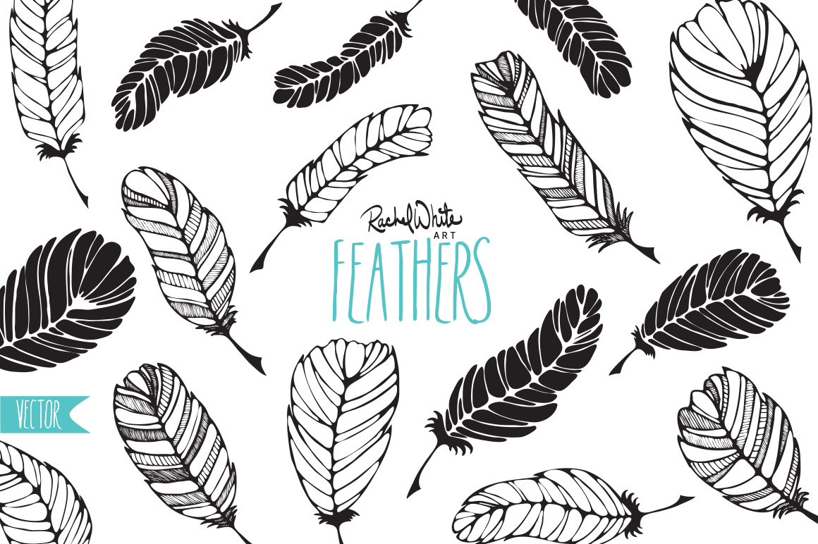 Download Feathers - Vector & PNG ~ Illustrations on Creative Market