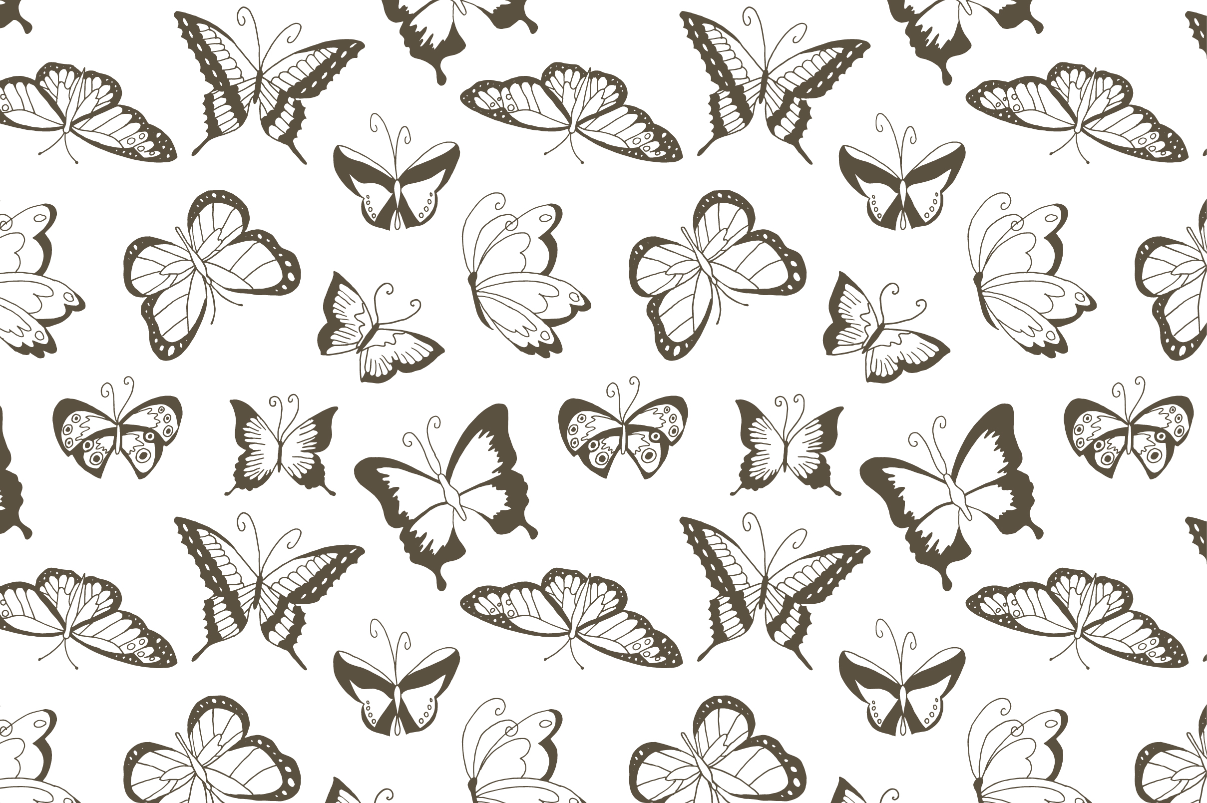 Free Free Butterfly Template Svg 779 SVG PNG EPS DXF File