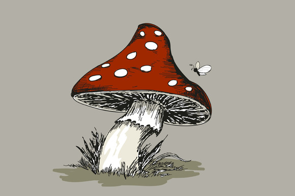 Mushroom Amanita With Grass Mushroom Amanita With Grass