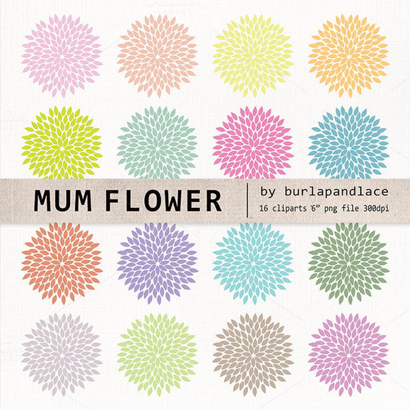 mum flower clipart - photo #6