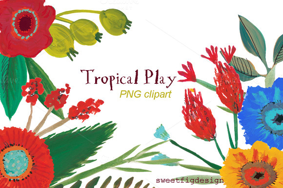 Tropical Play