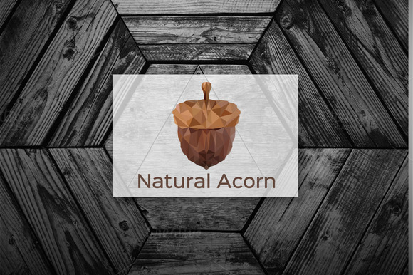Natural Acorn Geometric Logo
