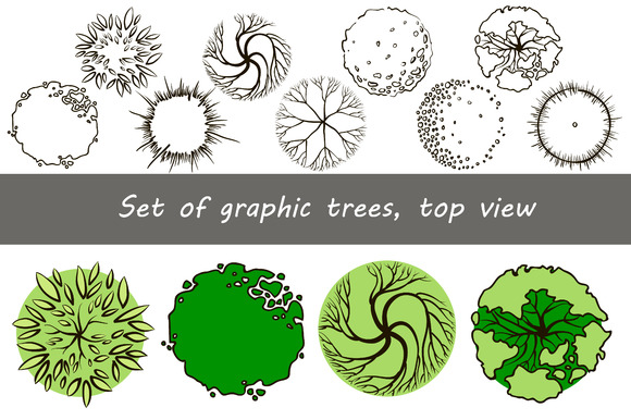 Set Of Graphic Trees Top View Set Of Graphic Trees Top View