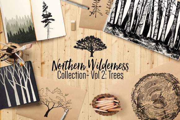 Northern Wilderness Trees Northern Wilderness Trees