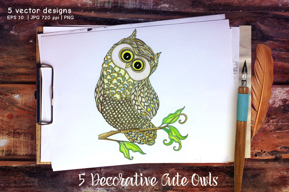 5 Decorative Cute Owls