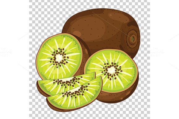 Kiwi Isolated Vector Kiwi Isolated Vector