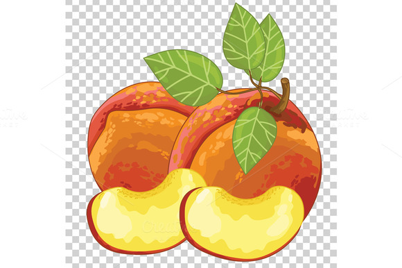 Peach Isolated Vector Peach Isolated Vector