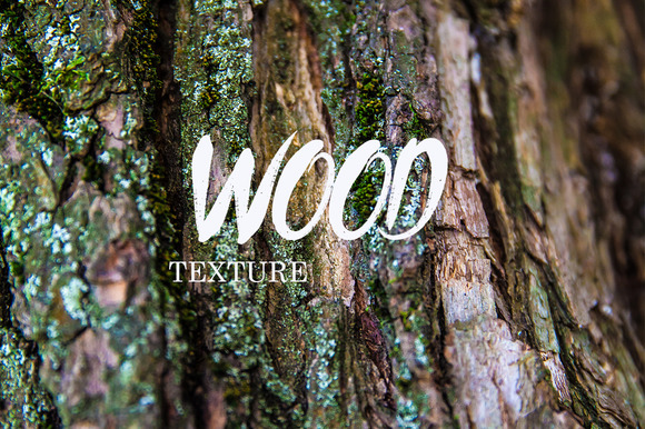Willow Tree Texture Bundle