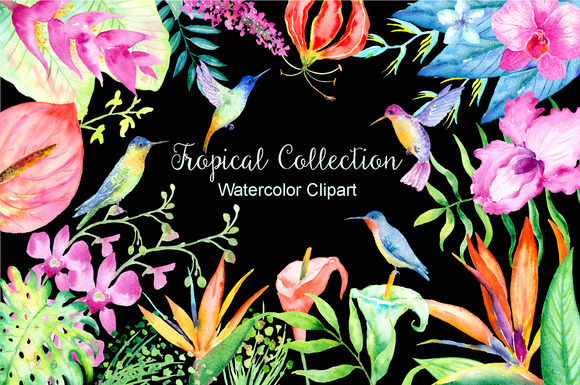 Watercolor Tropical Collection