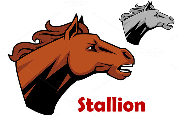 Brown Horse Stallion Head