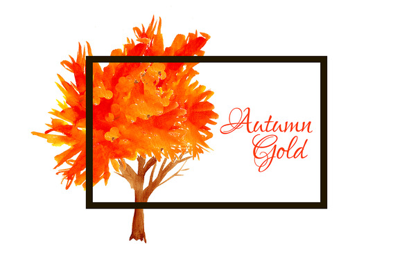 ¡í67 Autumn Gold Trees Vector ¡í67 Autumn Gold Trees Vector