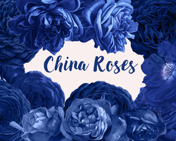 China Roses Vintage Watercolor Roses China Roses Vintage Watercolor Roses