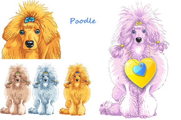 Set Of Dogs Breed Poodle Set Of Dogs Breed Poodle