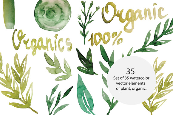 Organic Plants Vector Organic Plants Vector