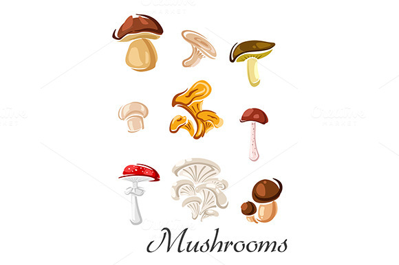 Edible And Toxic Mushrooms Edible And Toxic Mushrooms