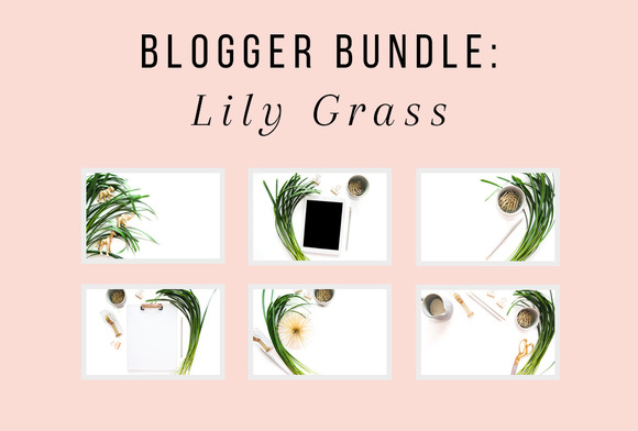PLSP Lily Grass Blogger Bundle PLSP Lily Grass Blogger Bundle