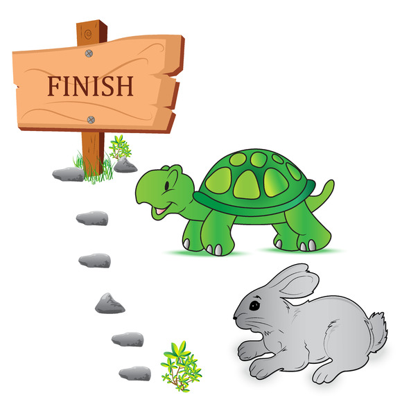 Turtle Vector Illustration Turtle Vector Illustration