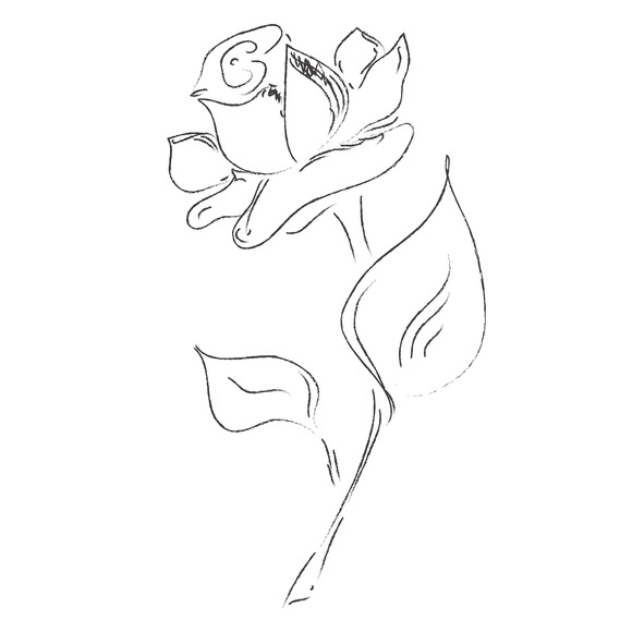 Flower Sketch Vector